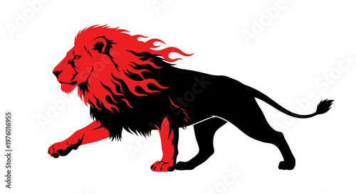 Majestic red and black lion walking with fiery mane.