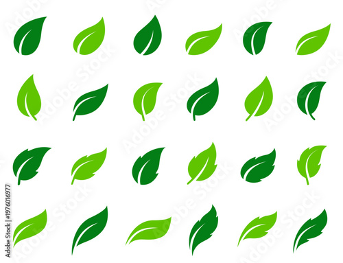 Leaves icons set, plants branches and sprig, eco sign