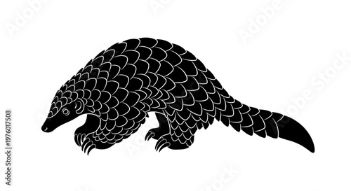 Pangolin isolated on white background, black and white illustration.