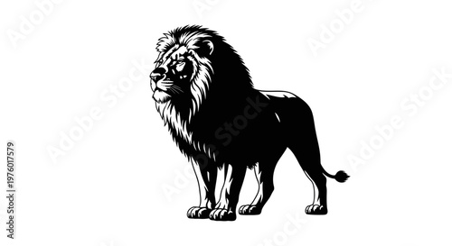 Majestic Lion Standing Proudly in Black and White.