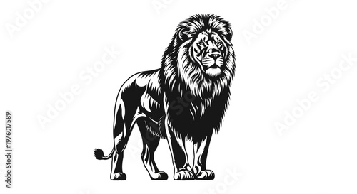 Majestic Lion Standing Proudly in Black and White.