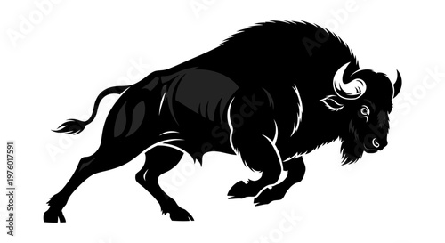 Powerful American Bison Charging with Determination.