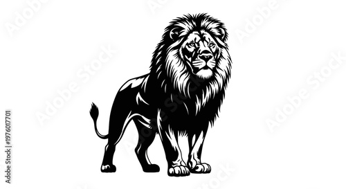 Majestic Lion Standing Proudly in Black and White.