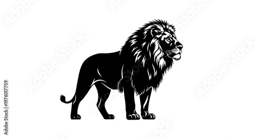 Majestic Lion Standing Proudly in Black and White.
