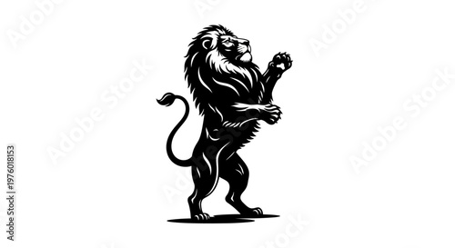Majestic lion standing proudly on hind legs, a symbol of strength and royalty.