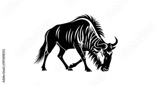 Powerful wildebeest grazing in a striking black and white silhouette.