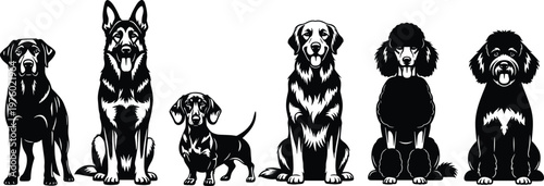 Collection of dog breed silhouettes in sitting pose, black vector illustration set of pets, including small and large dogs for animal, pet care, and design use