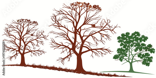 Graphic illustration set of bare deciduous winter trees alongside a lush green leafy tree depicting seasonal contrast on a simple ground line plant life environmental change