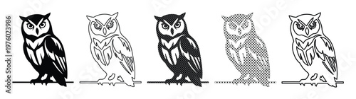 Vintage owl bird vector set, 5 hand drawn owl illustrations in black and white, wise nocturnal predator mascot icons for logo design and branding