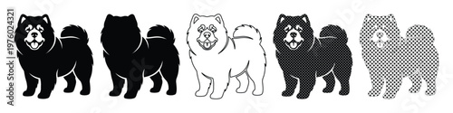 Chow Chow dog vector icons set, fluffy purebred dog silhouettes and line art, 5 pet breed illustrations for logo design and animal branding
