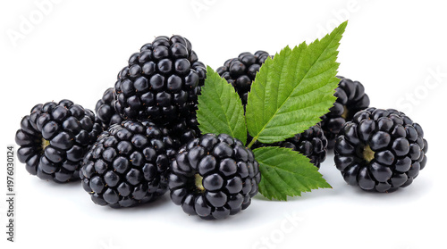 Fresh blackberries harvested in nature delicious fruits with green leaves vibrant close-up healthy lifestyle concept