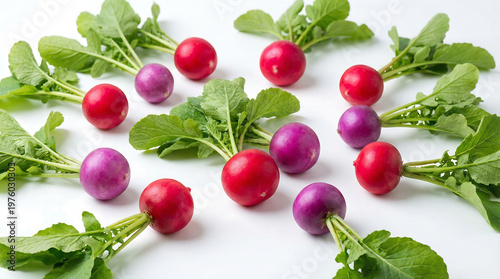 Harvesting fresh radishes colorful produce arrangement on white background for culinary inspiration