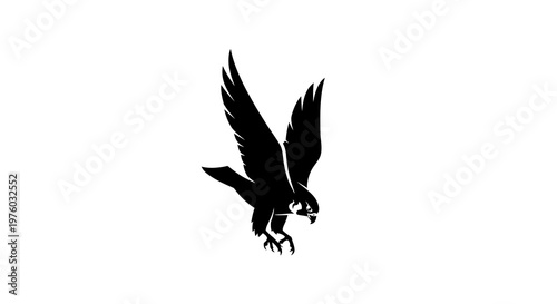 Black silhouette of a soaring bird of prey with outstretched wings on a white background.