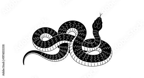 Coiled Snake Illustration with Flicking Tongue on White Background