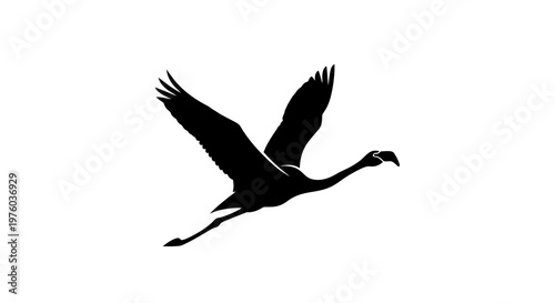 Flamingo in flight silhouette, isolated on white background, side view