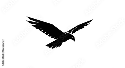 Silhouette of a soaring falcon with outstretched wings against a white background