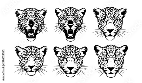 Leopard face vector black silhouette illustration collection