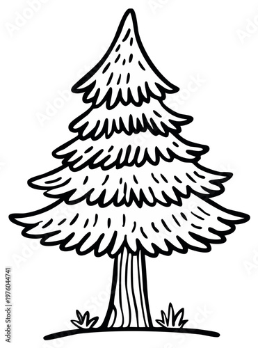 Hand drawn pine tree illustration, cartoon style black and white line art