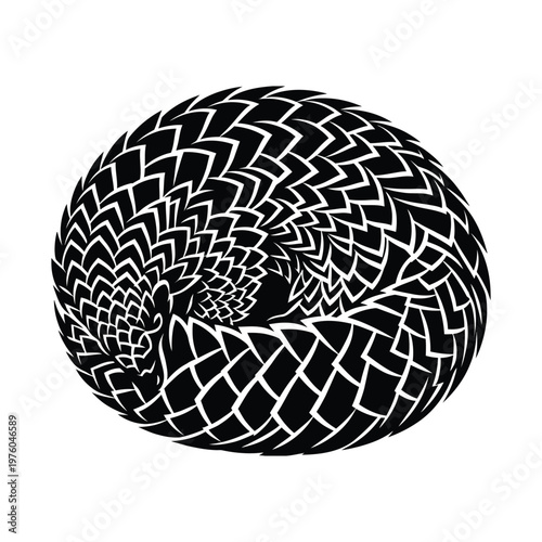 Black and white of a curled up pangolin with textured scales animal