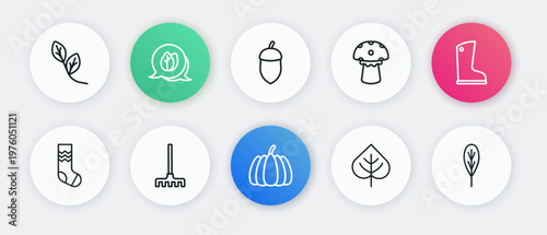 Set line Pumpkin, Waterproof rubber boot, Socks, Leaf, Mushroom, Acorn, and Garden rake icon. Vector