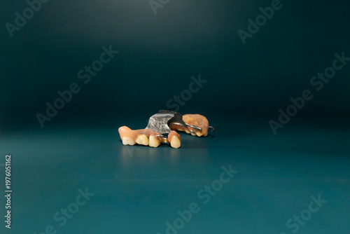 Removable partial denture with artificial teeth and metal base on dark green background. Studio macro photography isolated object. Dentistry and oral healthcare concept. Design for poster, banner.
