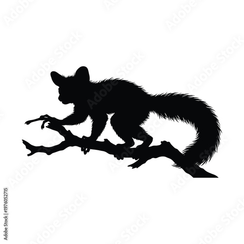 Black silhouette of a furry animal with large ears and a bushy tail perched on a gnarled tree branch