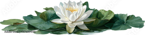 Beautiful white lotus flower atop green foliage. Vector design illustration for decoration.