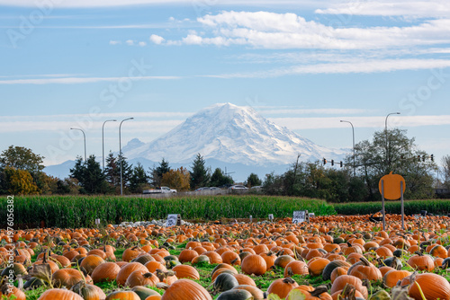 A pumpkin patch with a view of Mount Rainier and rush hour traffic