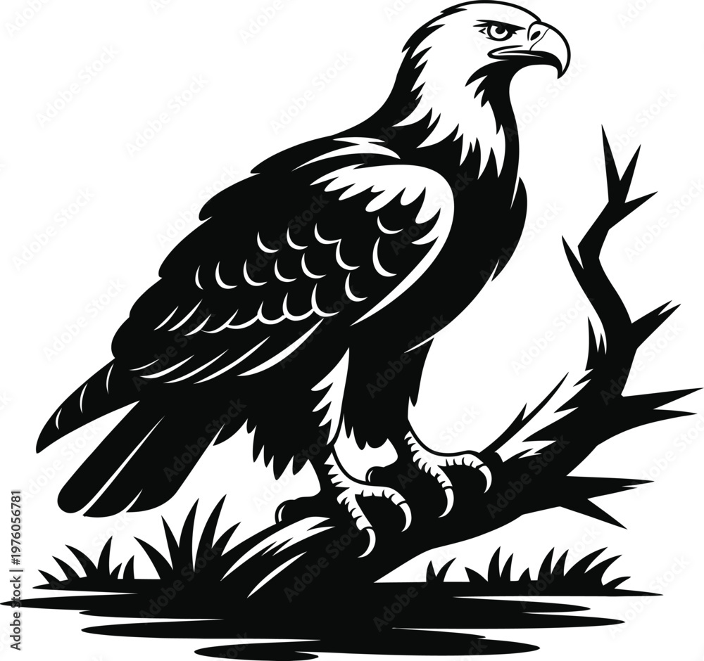 Fototapeta premium Majestic eagle perched on branch black silhouette art for freedom and power symbolism detailed illustration.