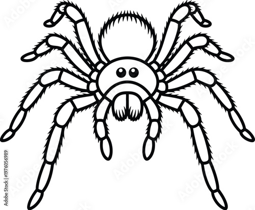 Black outline tarantula spider vector illustration with scary eyes isolated on transparent background.