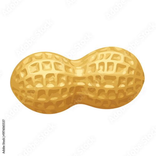 Peanut Image, Photography, Food and Agriculture Concept, Healthy Eating