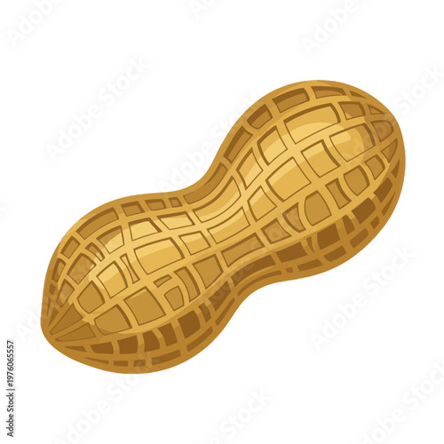 peanut image, photography, isolated on white background, food and nutrition concept