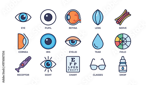 Eye anatomy elements: pupil, retina, lens, nerve, cornea, iris, tear, glasses, drop