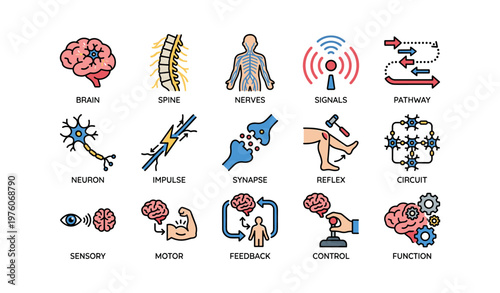 Neuroscience icons: brain, spine, nerves, signals, circuit, synapse