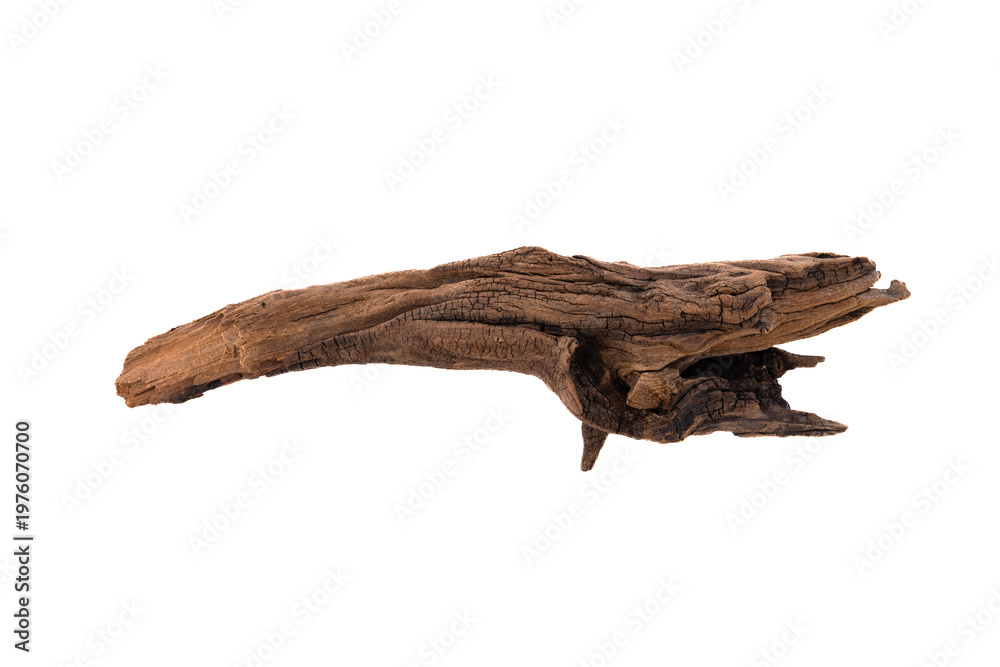 Naklejka premium Driftwood aged wood isolated on white background. Piece of driftwood driftwood close up for aquarium.