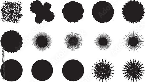 Silhouettes of various trees and plants seen from above.