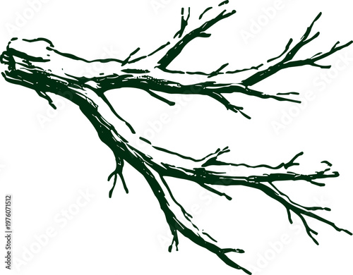 Hand-drawn sketch of a bare tree branch with multiple smaller twigs extending outwards