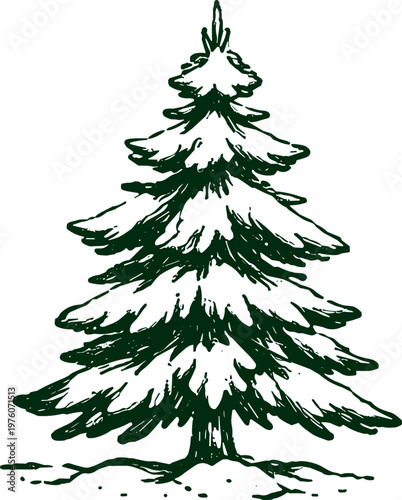 Hand-drawn evergreen tree illustration with a rustic, natural aesthetic