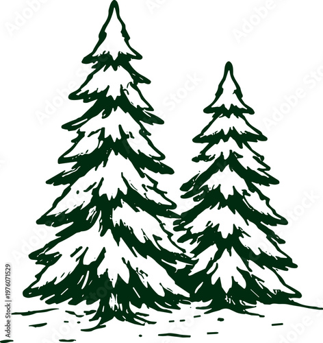 Hand-drawn evergreen trees in a forest setting, sketched with a rustic charm