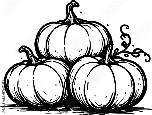 Three hand-drawn pumpkins stacked together with vine details, perfect for autumn