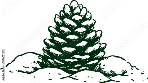 Hand-drawn pinecone illustration with snow-covered rocks and ground