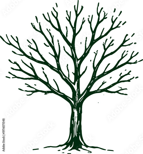 Stylized bare tree illustration with intricate branches reaching upwards