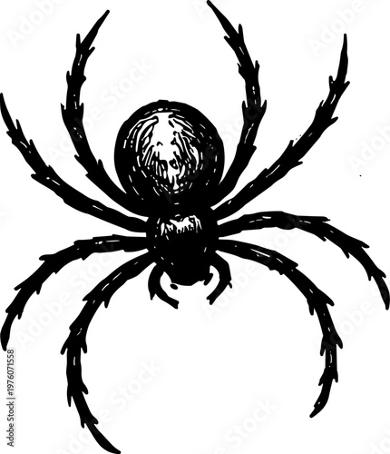 Detailed black spider illustration with eight hairy legs and a round body