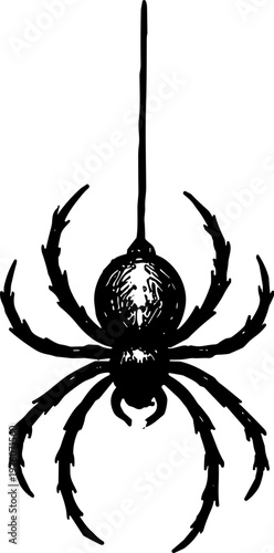 Spooky black spider dangling from a thin thread, perfect for Halloween themes