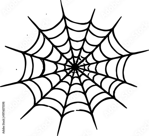 Intricate spider web design with radial symmetry and fine details