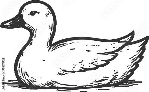 Vintage illustration of a charming duck resting peacefully on a surface