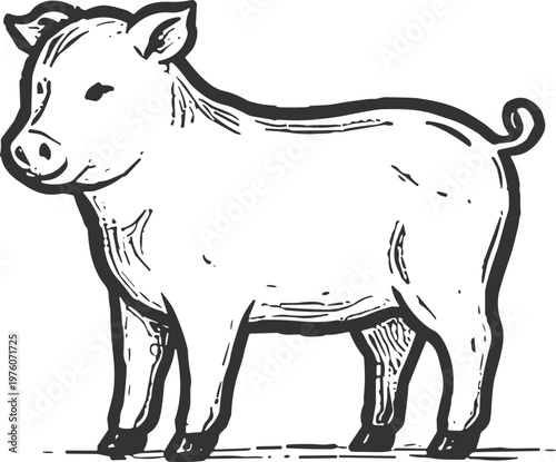 Sketch of a young pig standing on a farm, drawn in a vintage style