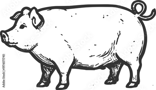 Vintage illustration of a plump pig standing profile, farm animal sketch