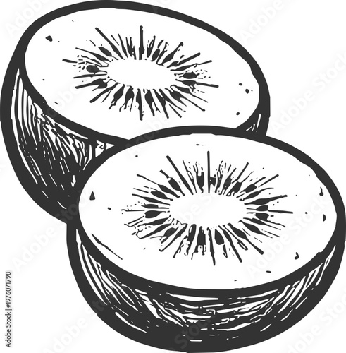 Hand-drawn sketch of a kiwi fruit cut in half, revealing its seeds and flesh