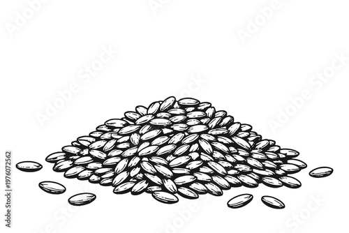 Pile of rice grains vector illustration in detailed engraving style with black and white isolated seeds